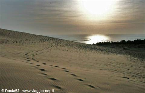 Dune di Pyla