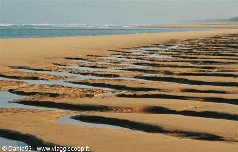 Spiaggia di Biscarosse