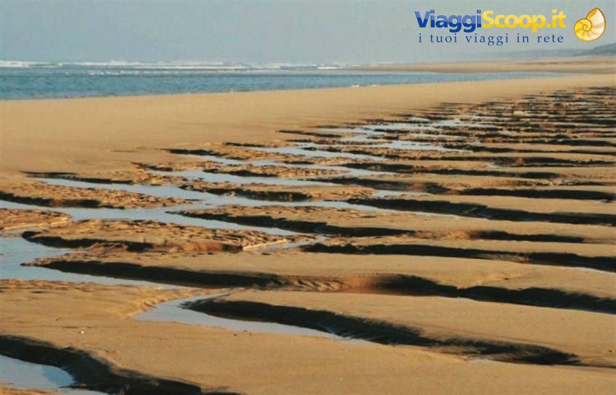 Spiaggia di Biscarosse