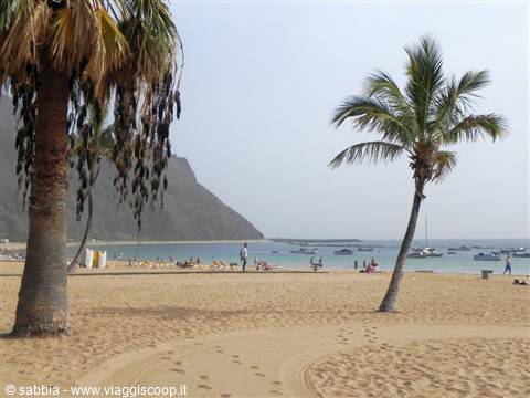 Palme nella spiaggia di Las Teresitas, a Nord di Tenerife