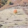 Autunno in Albania ALBANIA 