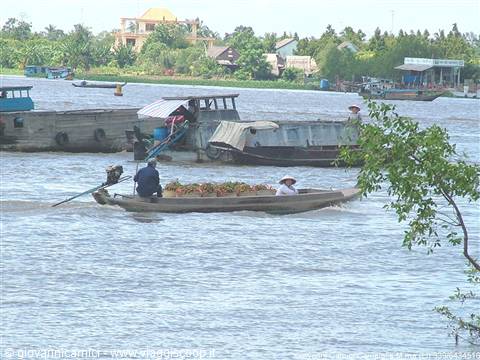 Paesaggio sul Mekong.