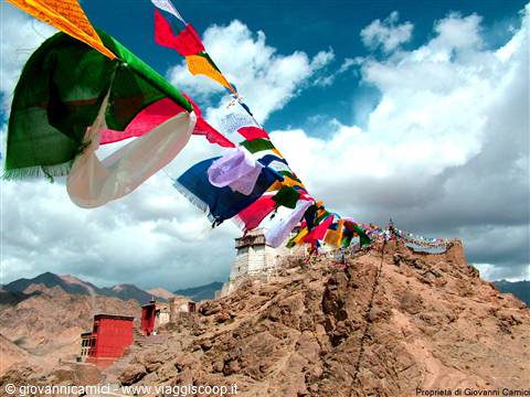 LEH,Forte e Namgyal Tsemo gompa