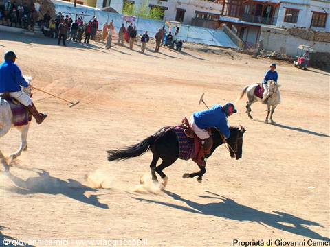 PARTITA DI POLO
