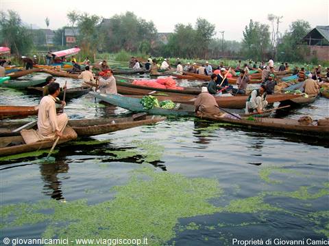 SRINAGAR,Floating market