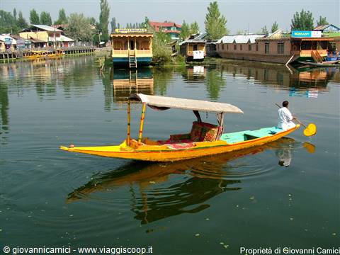 SRINAGAR,SHIKARA