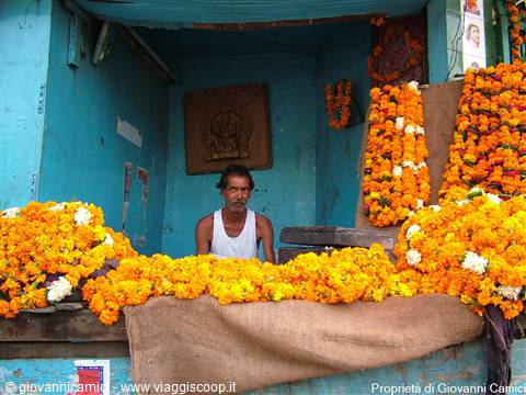 AMRITSAR,VENDITORE DI COLLANE DI FIORI