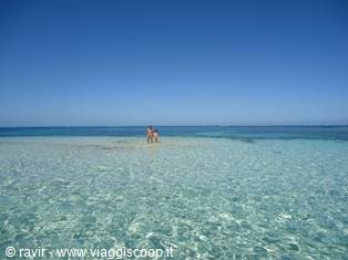 cayo arena repubblica domonicana sosua 1