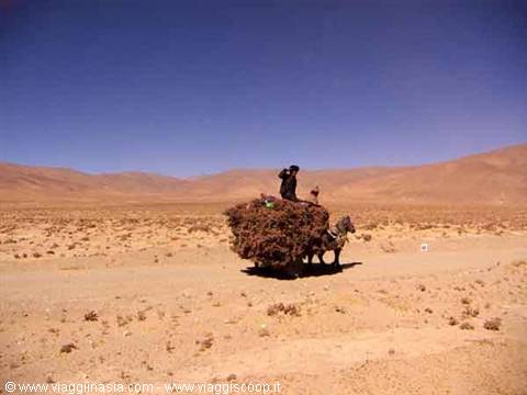 mezzo di trasporto nel deserto
