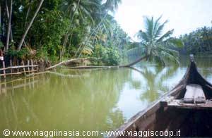 back water