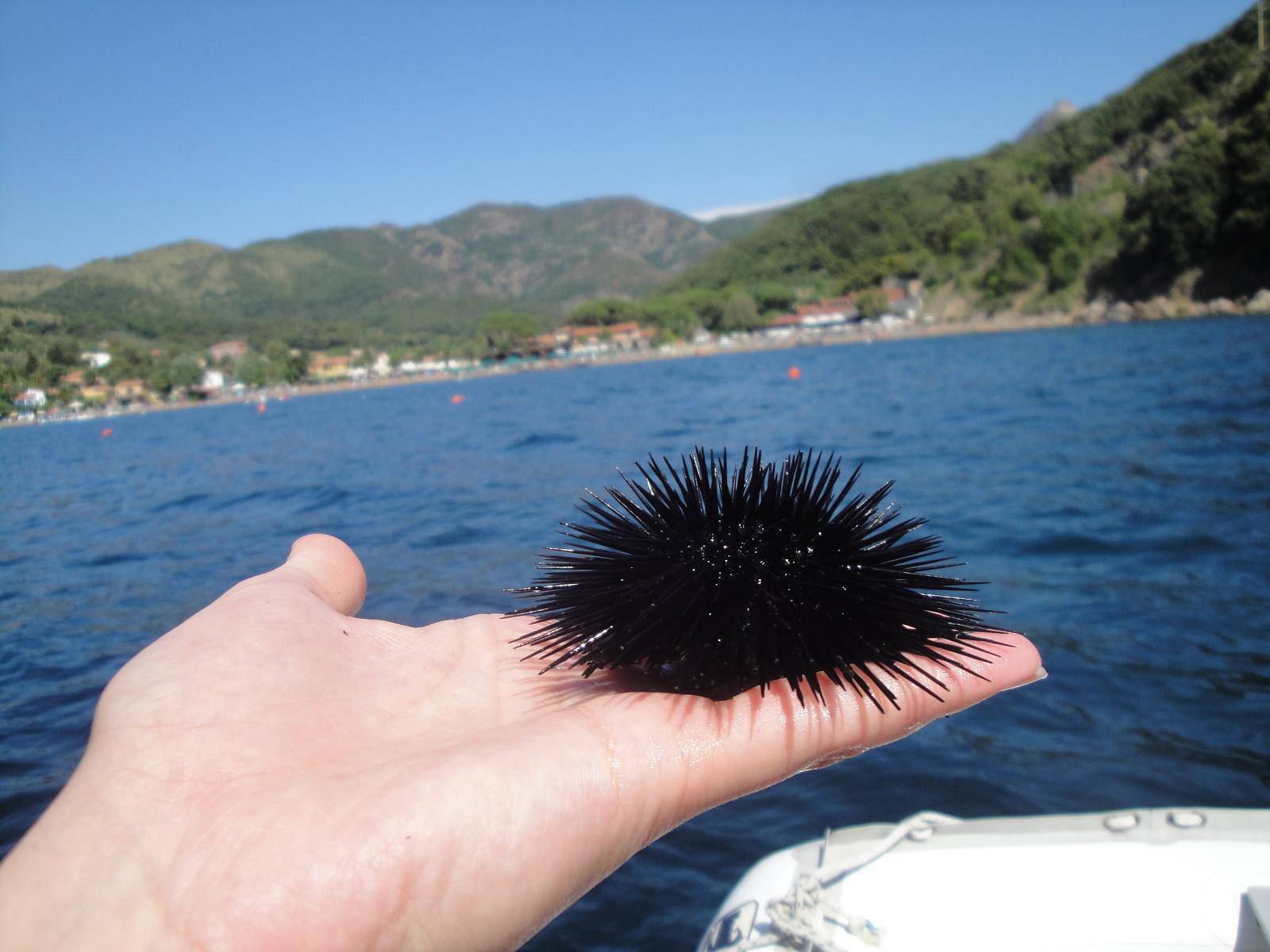 Foto di viaggio in ITALIA