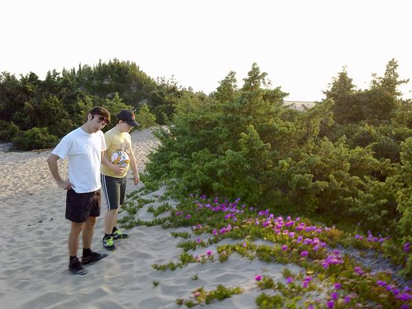 Le dune della spiaggia di Torre Paola - San Felice Circeo