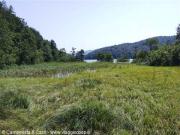 I laghi di Plitvice