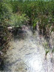 I laghi di Plitvice