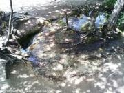 I laghi di Plitvice