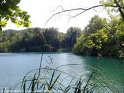 I laghi di Plitvice