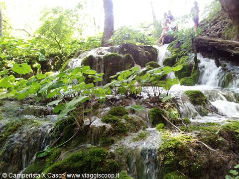 I laghi di Plitvice