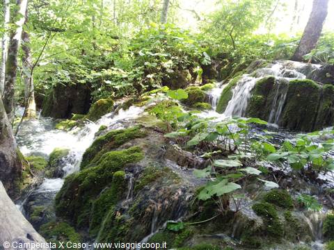 I laghi di Plitvice
