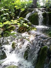 I laghi di Plitvice