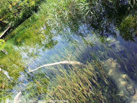 I laghi di Plitvice