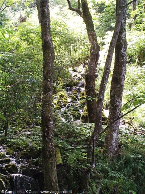 I laghi di Plitvice