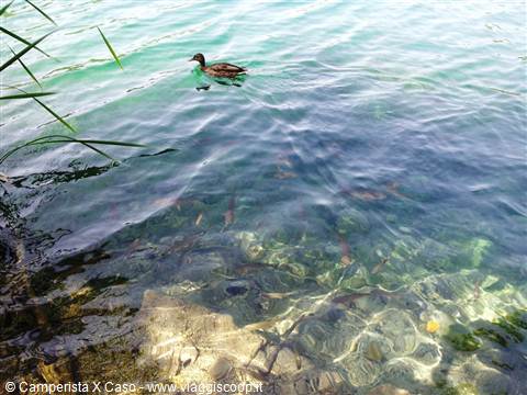 I laghi di Plitvice