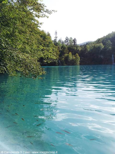 I laghi di Plitvice