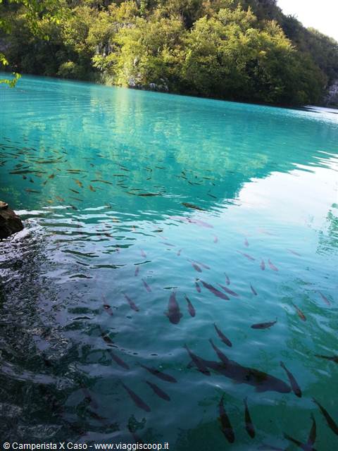 I laghi di Plitvice