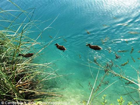 I laghi di Plitvice