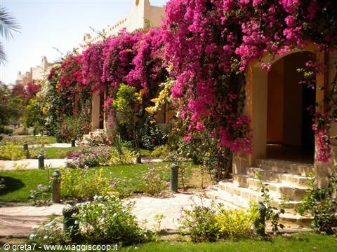 dream lagoon marsa alam