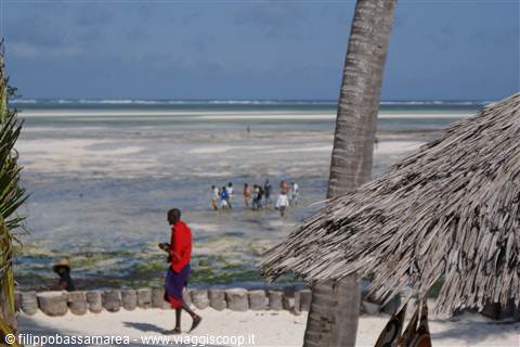 La spiaggia davanti al Jumbo Village