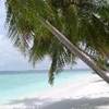 foto viaggio MALDIVE