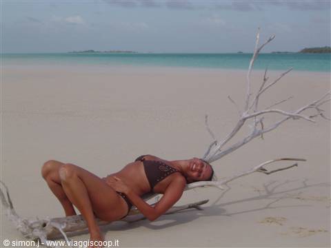 foto da calendario!!