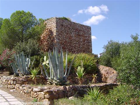 La torre del villaggio