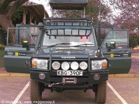 Pronti per il safari