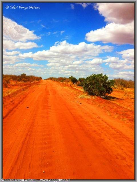 Tsavo est