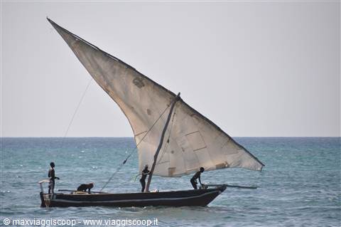 Barca zanzibarina