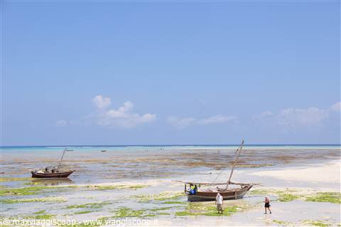 Bassa Marea