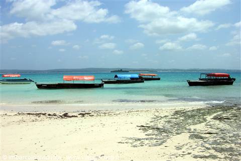 ZANZIBAR, ISOLA DELLE SPEZIE- Imbarcoinidviduale.com