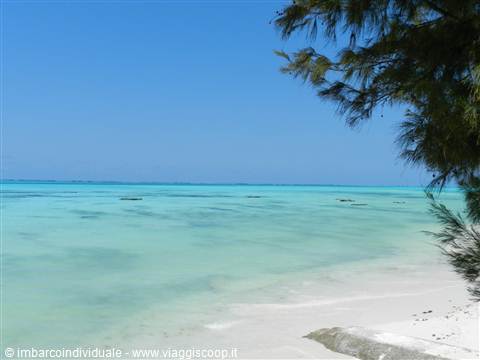 ZANZIBAR, ISOLA DELLE SPEZIE- Imbarcoindividuale.com