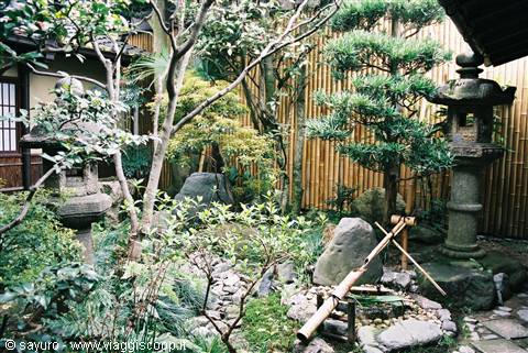 Japanese garden