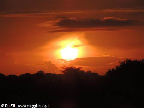 tramonto in savana