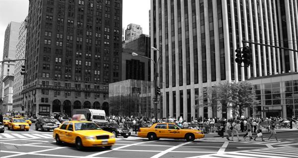 Tour in America