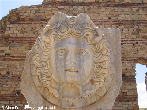 medusa