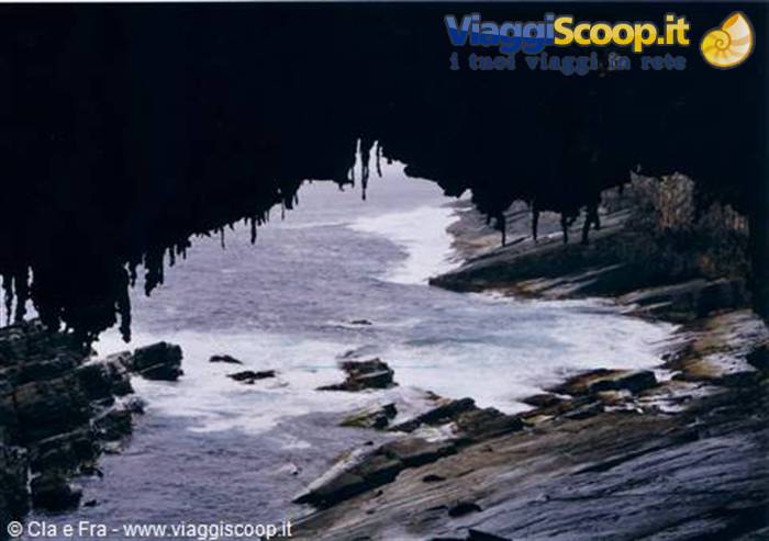kangaroo island