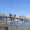 Brooklyn Bridge STATI UNITI D'AMERICA 
