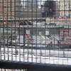 Ground Zero STATI UNITI D'AMERICA 