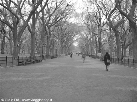 central park