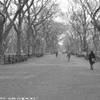central park STATI UNITI D'AMERICA 