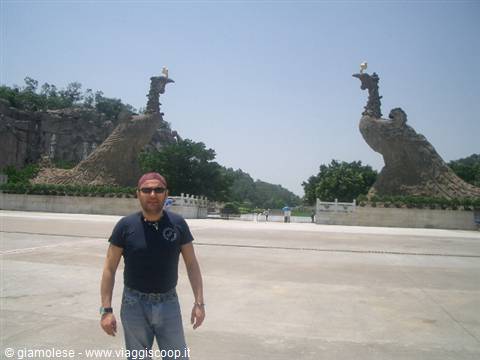 paradiso di bruce lee
